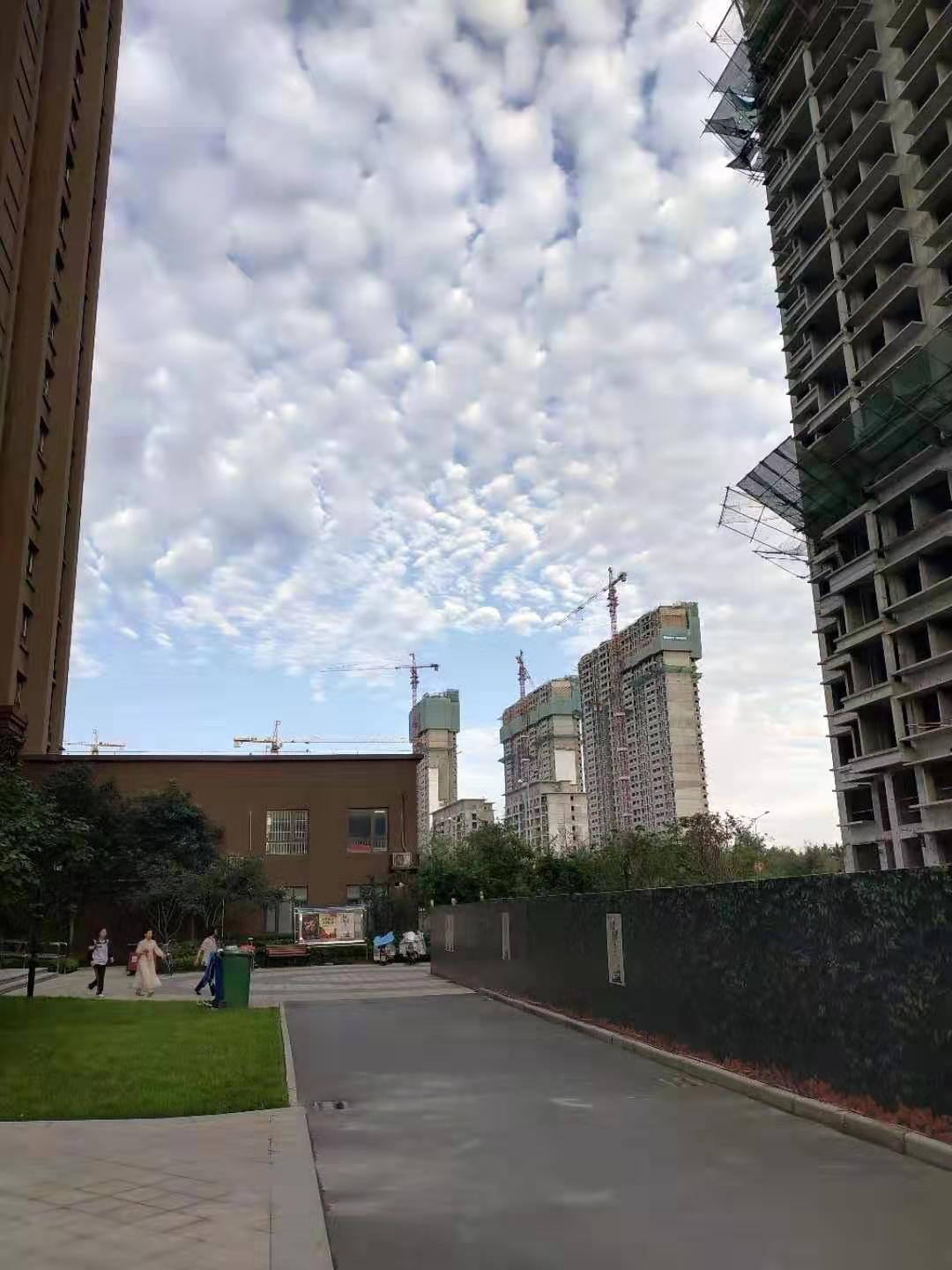 西安長安區(qū)同步推進“三化” 加快統(tǒng)籌城鄉(xiāng)一體發(fā)展